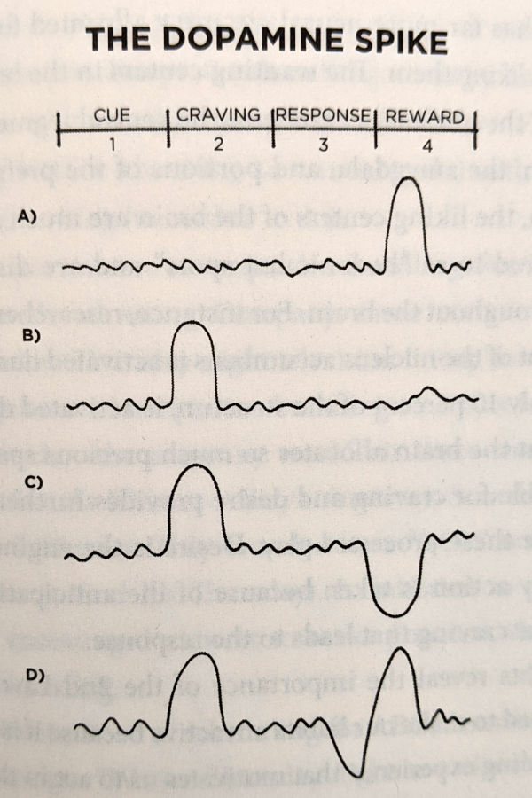 The habit forming dopamine spike